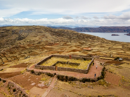 Peru, San Pedro, Wachuma