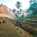 eco travel tips