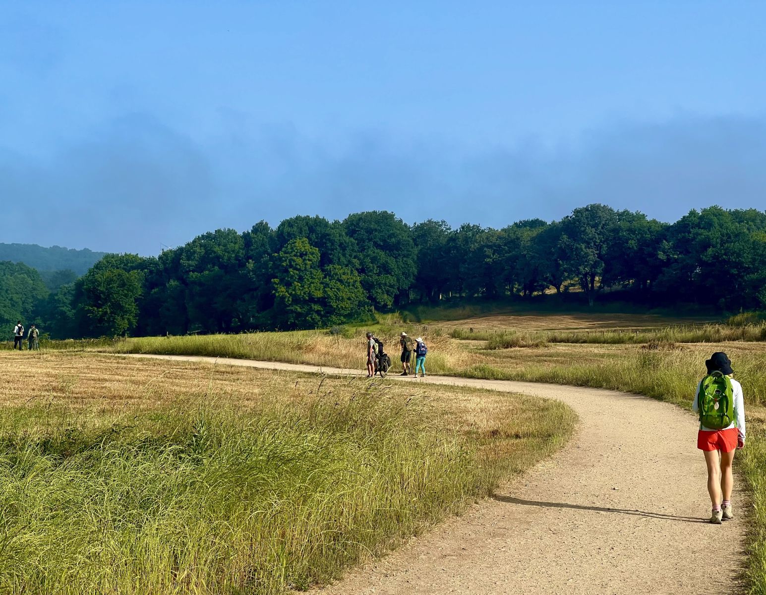 Open countryside Camino path