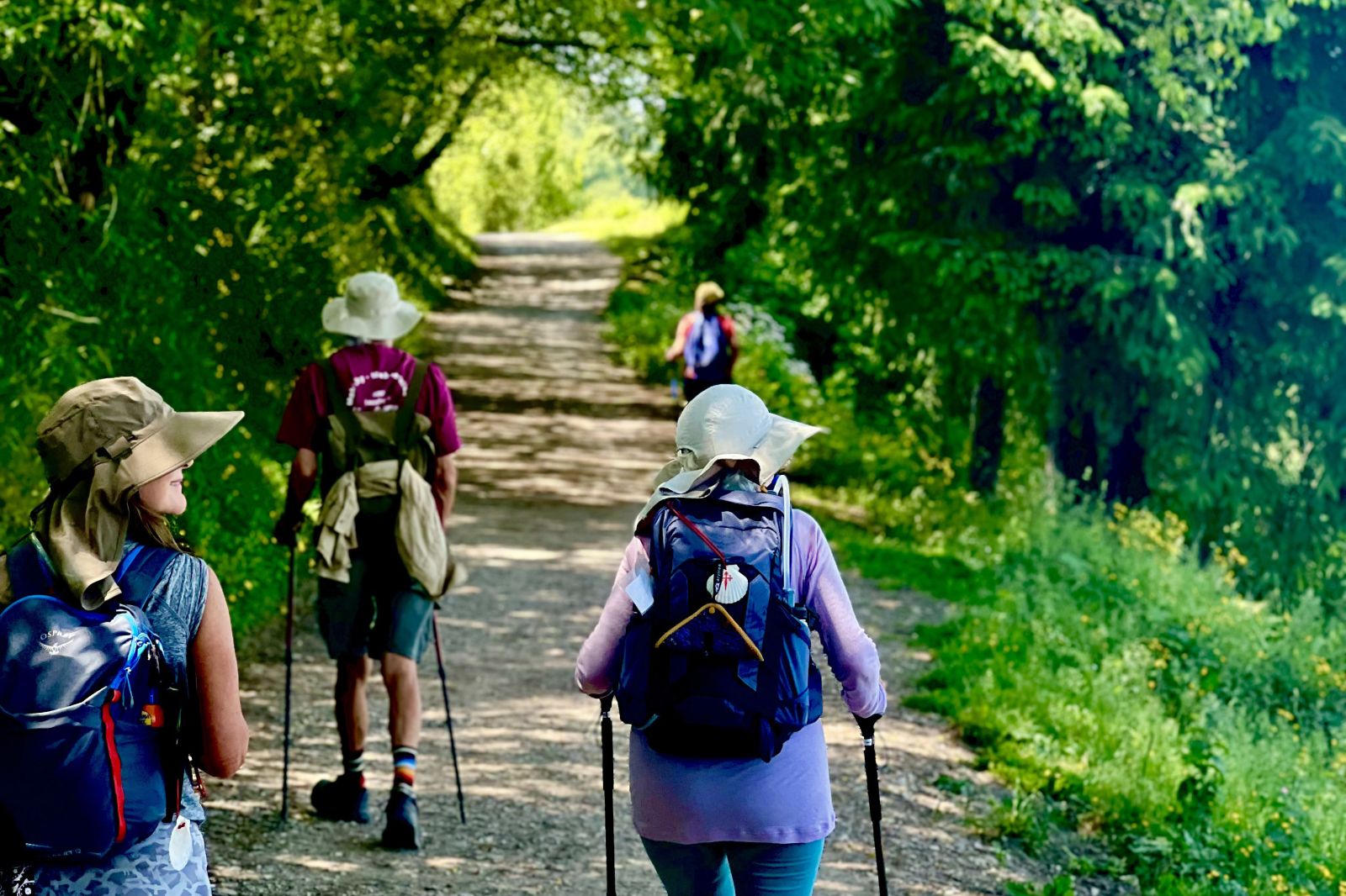 Walking the Camino
