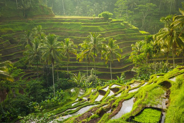 Indonesia 2023