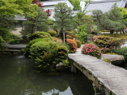 Kyoto, Garden, Japan, Sacred Earth