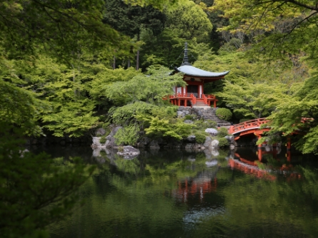 Kyoto, shogun, sacred journey
