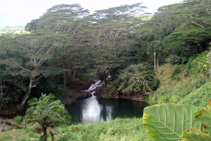 hindu monastery hawaii