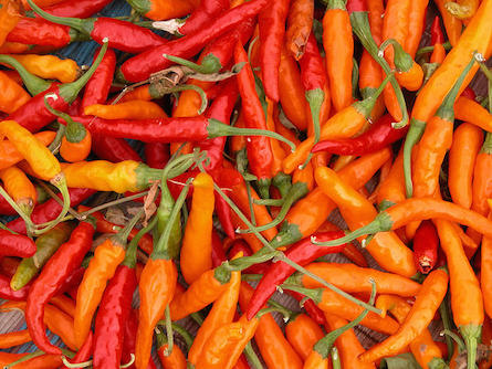 India, hot peppers