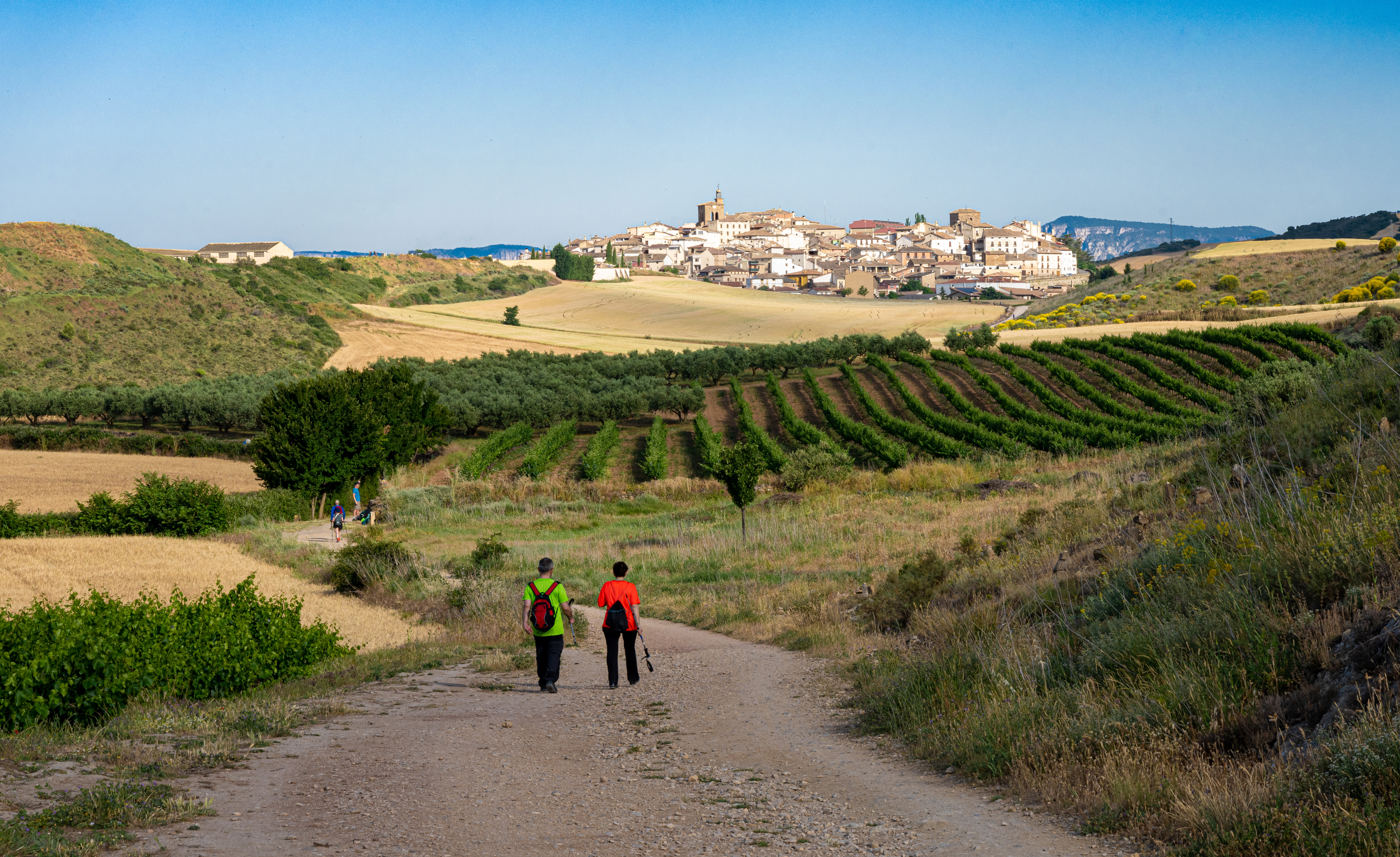 Camino Pilgrams