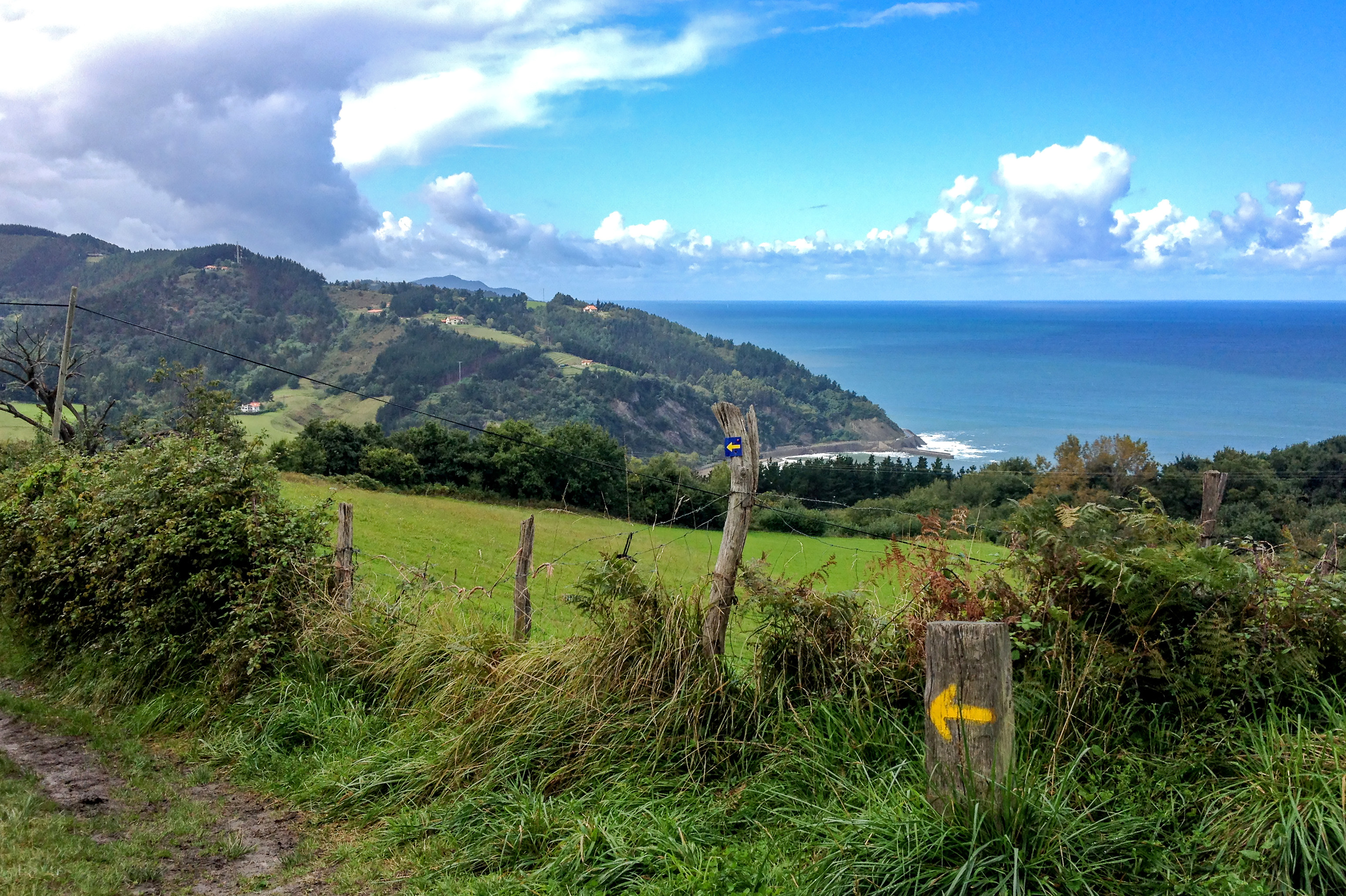Camino Trail