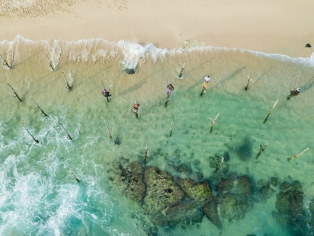 Traditional stilt fishermen in Sri Lanka Aerial view