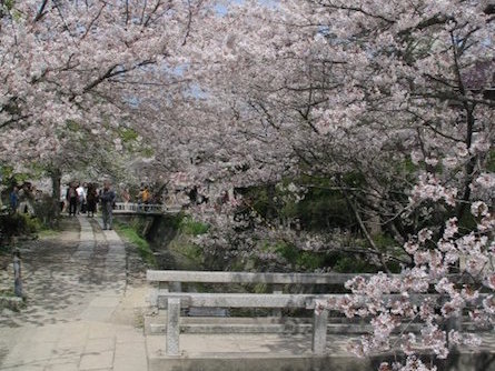 Kyoto Path of Philosophy in Japan