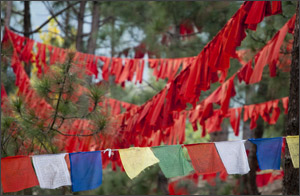 Prayer Flags in India