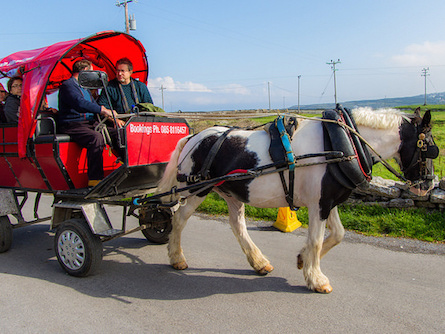 horse and cart ride Aran Islands in Ireland