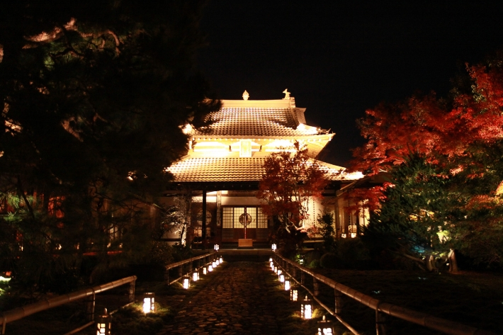 Kyoto nights in fall