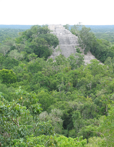 Site of Kalakmul in Mexico
