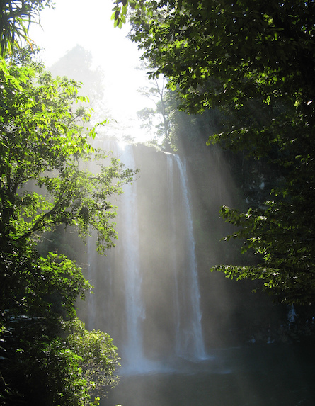 Misol Ha Falls in Mexico